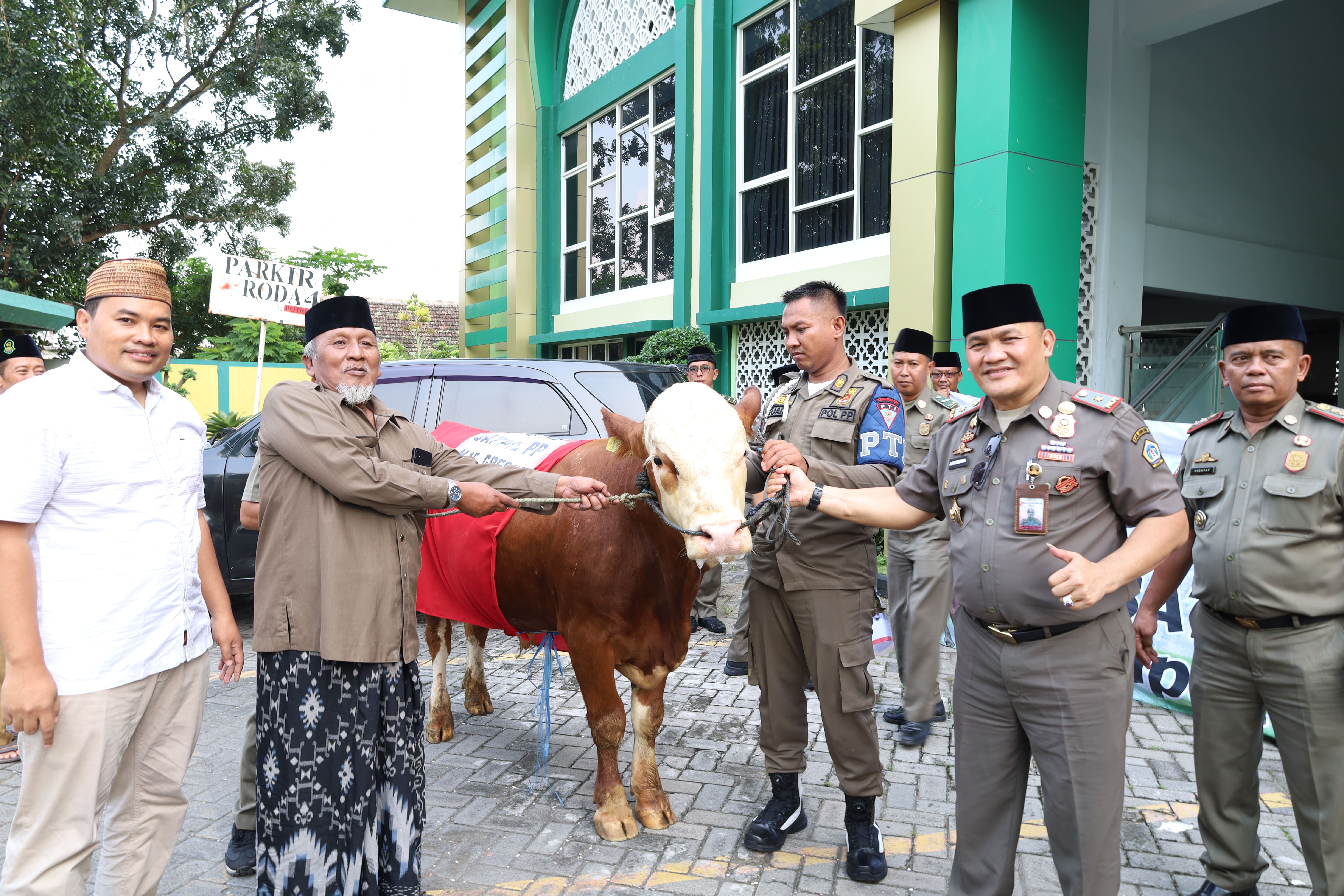 Satpol PP Gresik Serahkan Hewan Qurban Berupa 1 Ekor Sapi  dengan Berat 600 Kilogram kepada MUI Kabupaten Gresik